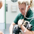 Veterinaire Zorg